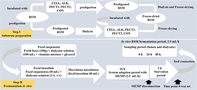 Differently Pre-treated Rapeseed Meals Affect in vitro Swine Gut Microbiota Composition